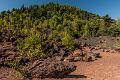 2015_08_02 (0072)